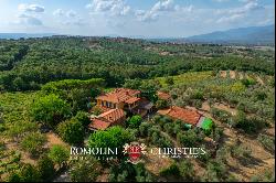 WINE AND OIL ESTATE FOR SALE IN TUSCANY, VALDARNO