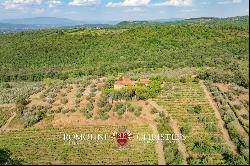 WINE AND OIL ESTATE FOR SALE IN TUSCANY, VALDARNO