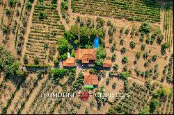 WINE AND OIL ESTATE FOR SALE IN TUSCANY, VALDARNO