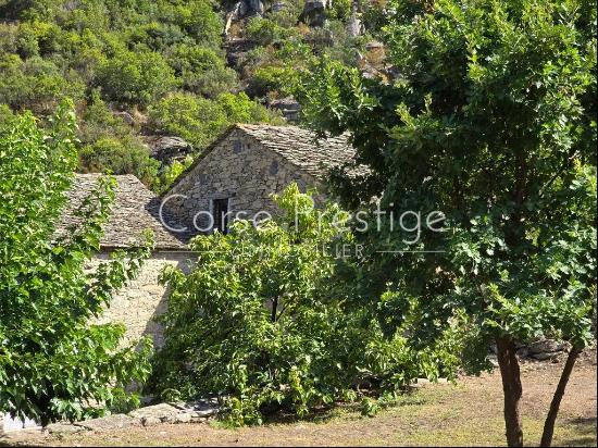 Stone Mill by the River for sale - Nebbiu - Saint Florent - North Corsica