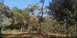 Wooded plot 200 metres from the beach