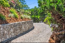 Charming Mid-Century Gem in Berkeley Hills