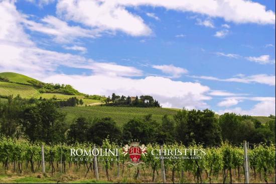 ORRGANIC WINE ESTATE FOR SALE IN ORVIETO, UMBRIA