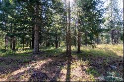 146 STADELMAN DR Trout Lake, WA 98650