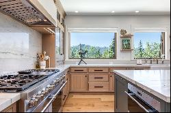 Stunning Park Meadows Remodel: Panoramic Views on Quiet Cul-de-Sac