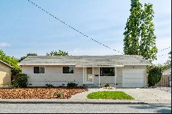 Modern & Gorgeous in Prime Petaluma Location