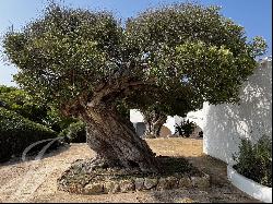 Menorcan Villa near Ciutadella