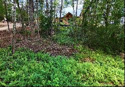 Cutom-Built Log Home on Unrestricted Land