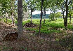 Cutom-Built Log Home on Unrestricted Land