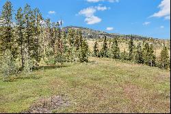 33190 Filly Trail,Oak Creek, CO, 80467