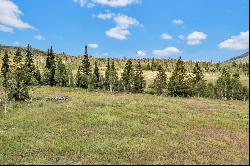 33190 Filly Trail,Oak Creek, CO, 80467