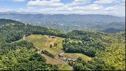 2835 Cross Mountain Rd,Shady Valley, TN, 37688