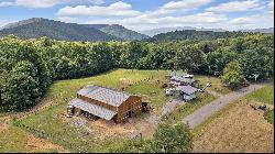 2835 Cross Mountain Rd,Shady Valley, TN, 37688