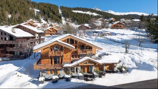 Chalet Adagio - On the Ski Slopes