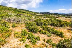 Unlock Your Mountain Dream: 13 Acres of Gradually Sloped Land in Park City