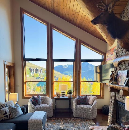 9 Hunter Hill Road, Mt. Crested Butte, CO, 81225, USA