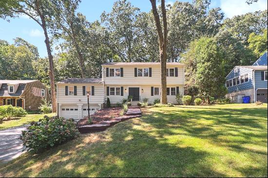 285 Primrose Lane, Fairfield, CT, 06825, USA