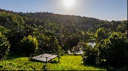 Eco Sanctuary in the Noosa Hinterland: Discover Still Waters