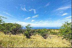 59-190 MALA PL, KAMUELA, HI, 96743