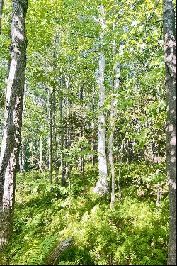 Nestled in the picturesque town of Peru, Vermont