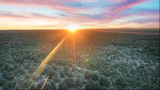 New Mexico