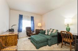 4702 W Oakwood Drive #3, McHenry IL 60050