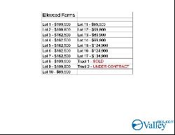 Lot 3 Scott Road, Hazel Green AL 35750