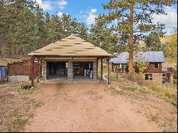 24676 River Meadow Road, Buffalo Creek CO 80425