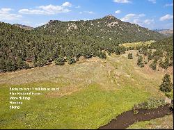 24676 River Meadow Road, Buffalo Creek CO 80425