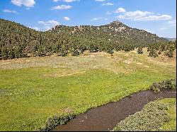 24676 River Meadow Road, Buffalo Creek CO 80425