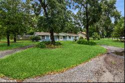 25309 Carnoustie Drive, Sorrento FL 32776