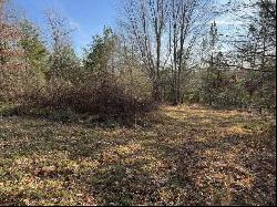 Log Cabin Lane Lot 1, Dunlap TN 37327