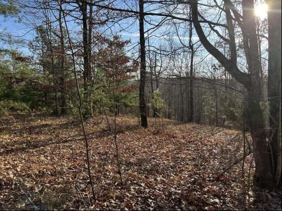 Log Cabin Lane Lot 1, Dunlap TN 37327