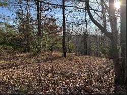 Log Cabin Lane Lot 1, Dunlap TN 37327