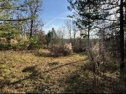 Log Cabin Lane Lot 1, Dunlap TN 37327