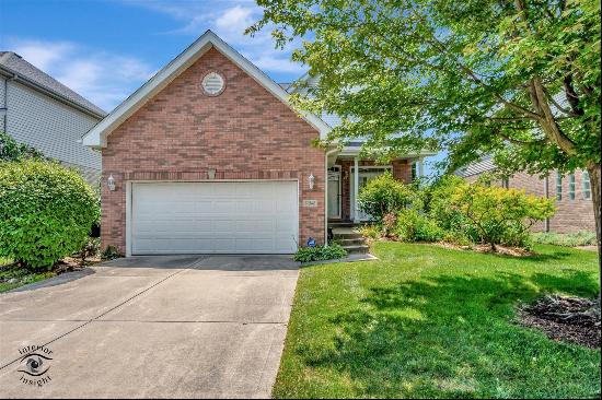 11341 Longwood Circle, Orland Park IL 60467