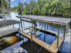 11624 Monette Road, Riverview FL 33569