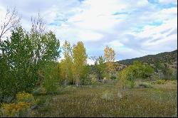 Tract B Witt Rd, Taos NM 87571