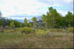 Tract B Witt Rd, Taos NM 87571