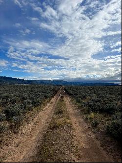 Cuatro Ruedas, Carson NM 