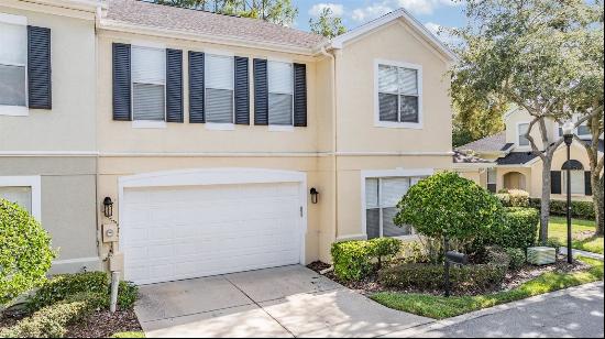 3515 Heards Ferry Drive, Tampa FL 33618