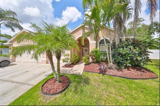 12031 Mountbatten Drive, Tampa FL 33626