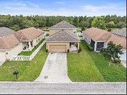 21139 Pleasant Plains Parkway, Land O Lakes FL 34637