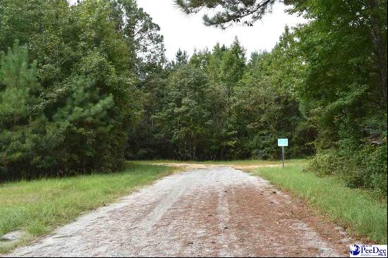 TBD Bazen Lane, Florence SC 29505