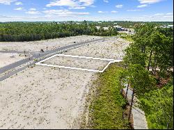 Lot 79 Windsong Drive, Watersound FL 32461