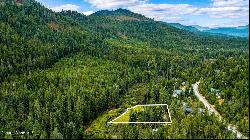 215 Gordon Dr, Priest Lake ID 83856