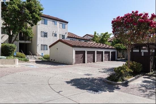 21239 Gary Drive #303, Hayward CA 94546