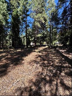 866 Golf Club Road, Lake Almanor CA 96137