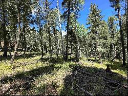 Lot 10 Alpine Lake Terrace, Angel Fire NM 87710