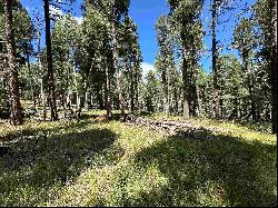 Lot 10 Alpine Lake Terrace, Angel Fire NM 87710